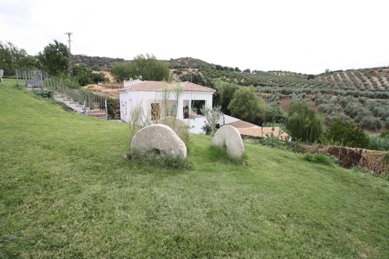 El Molino Villa Alcalá del Valle Eksteriør billede
